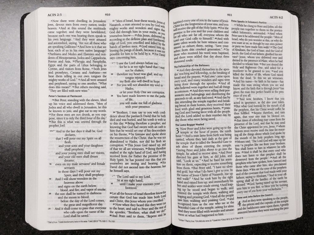 Acts in the ESV Thinline