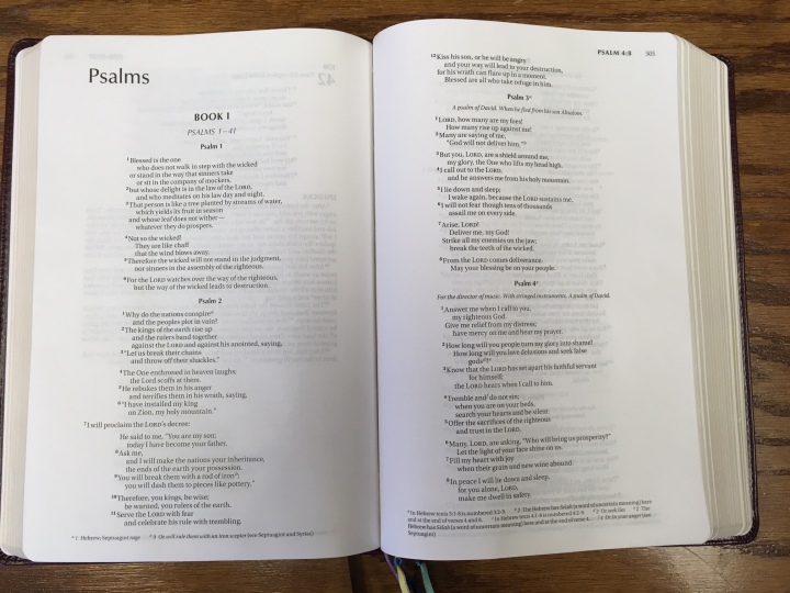 niv-single-column-bible-psalms